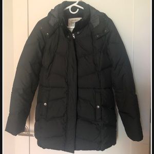 Eddie Bauer Premium Down Puffer Winter Coat Gray